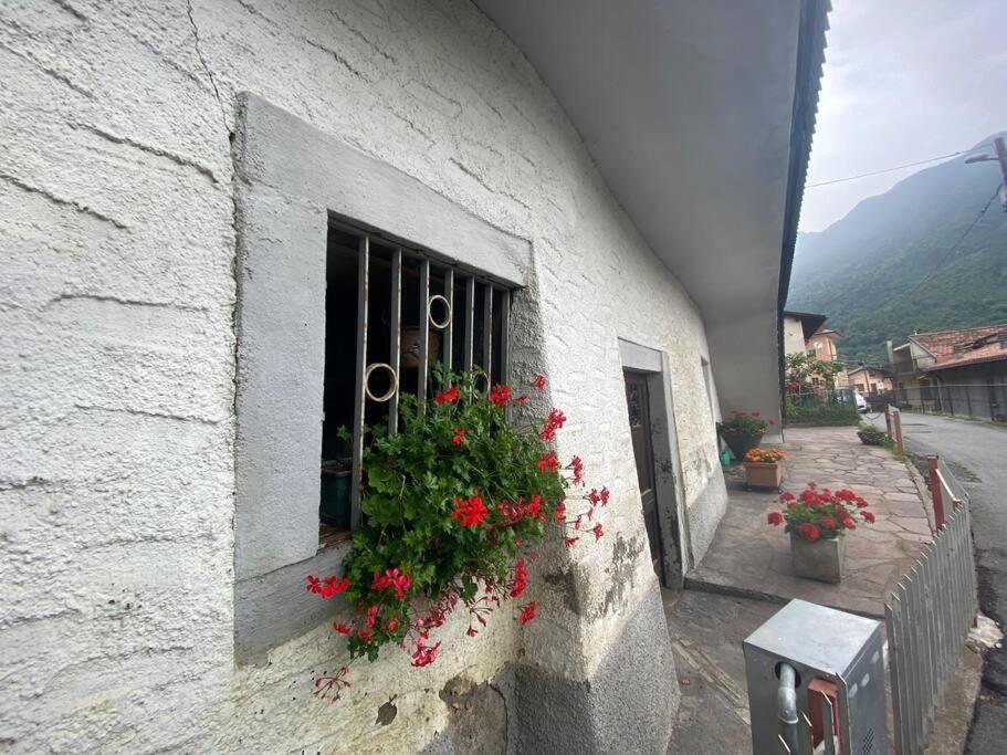 Casa Vacanze Il Pettirosso. ピゾーニェ エクステリア 写真
