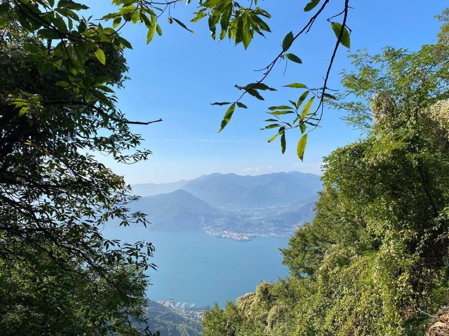 Casa Vacanze Il Pettirosso. ピゾーニェ エクステリア 写真