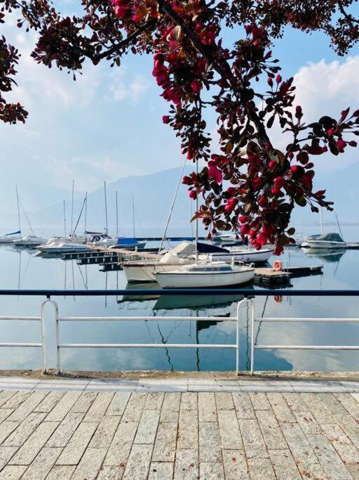 Casa Vacanze Il Pettirosso. ピゾーニェ エクステリア 写真