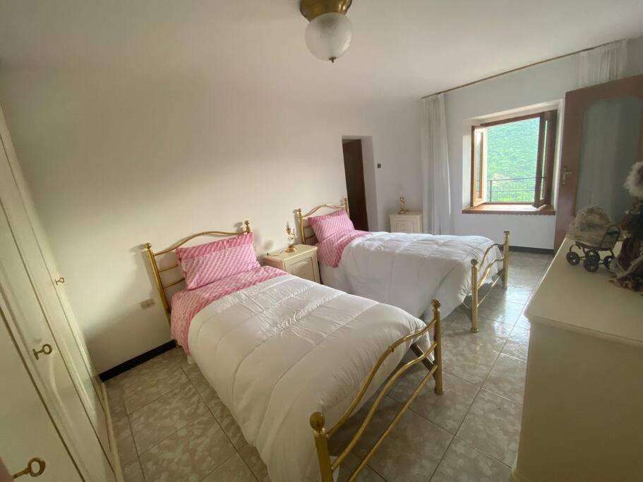 Casa Vacanze Il Pettirosso. ピゾーニェ エクステリア 写真