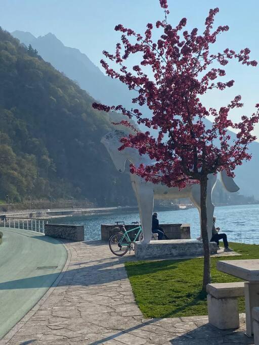 Casa Vacanze Il Pettirosso. ピゾーニェ エクステリア 写真